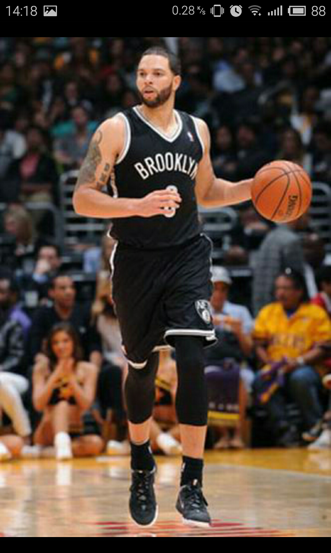 双重支撑 双重支撑