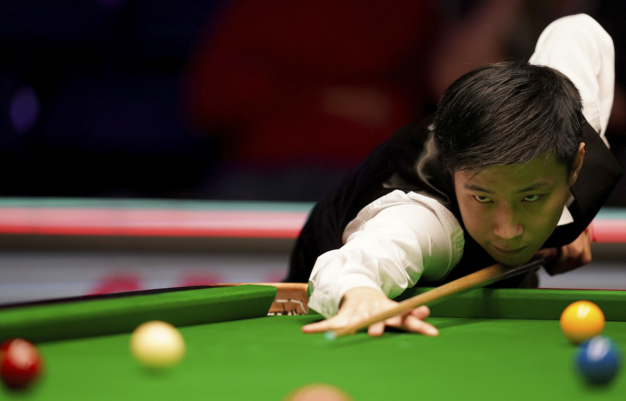 未来他们或 未来他们或