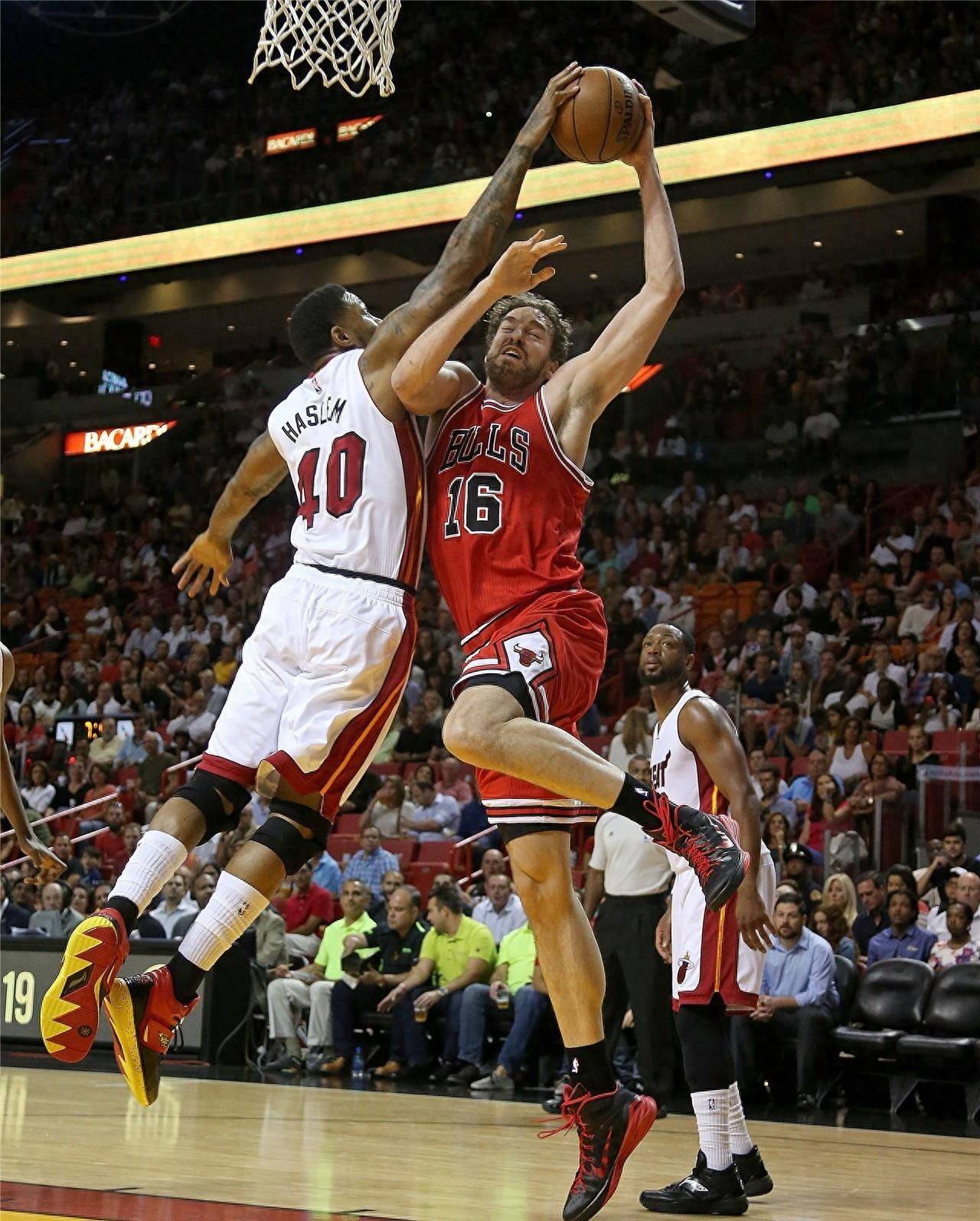 利的热门 利的热门