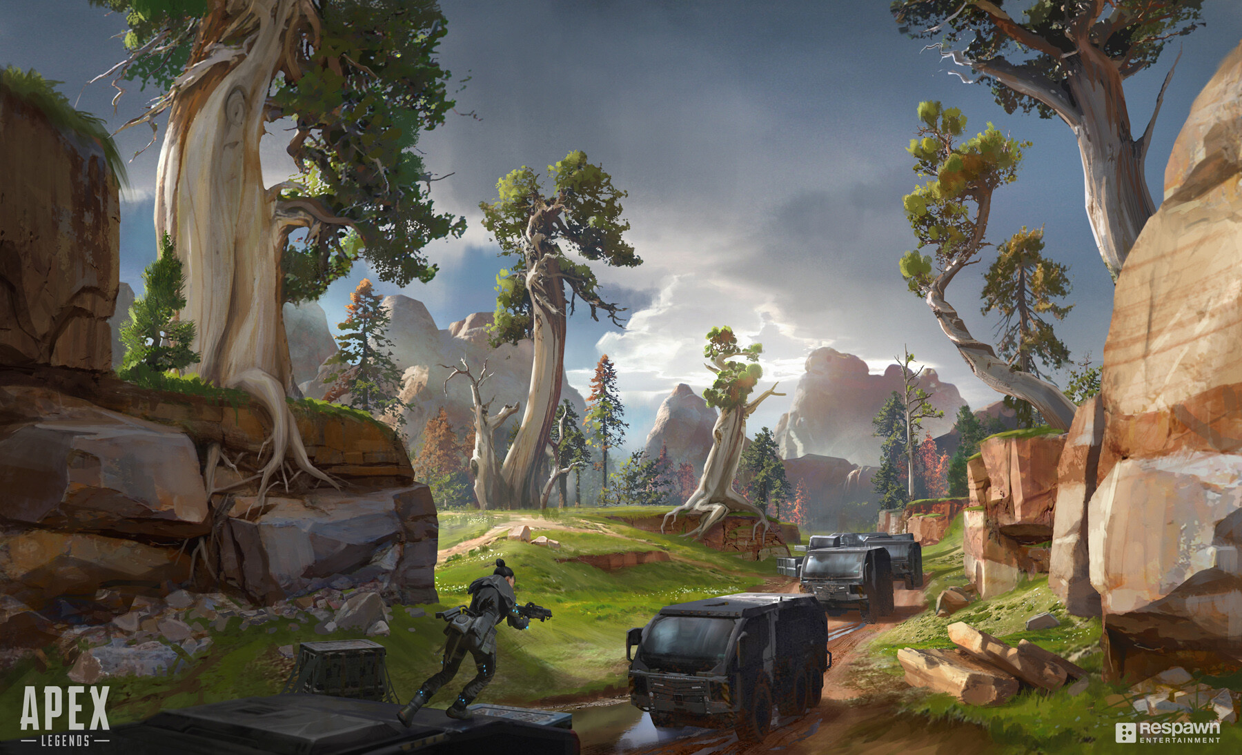 布置清晰 布置清晰